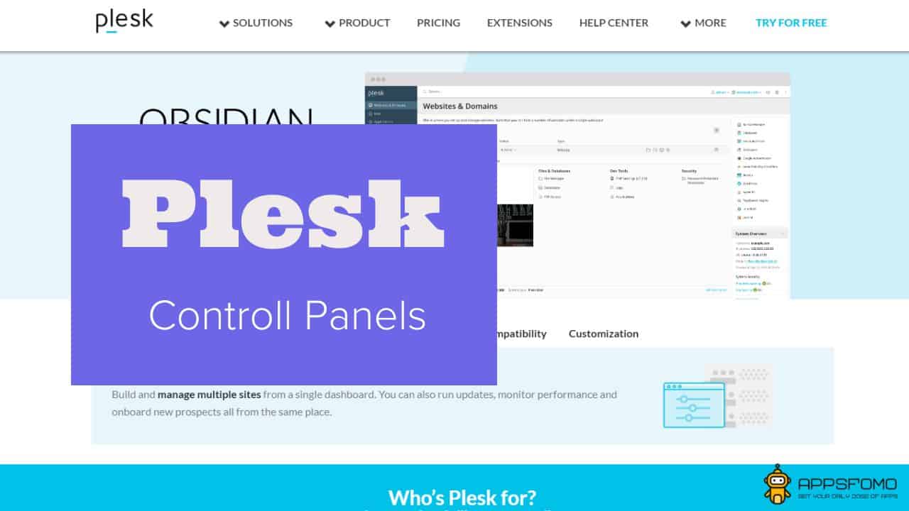 Plesk Review