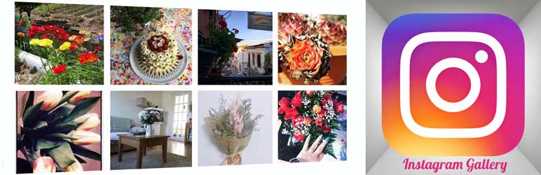 Instagram Gallery WordPress Plugin