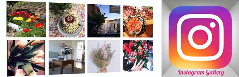 instagram gallery wordpress plugin