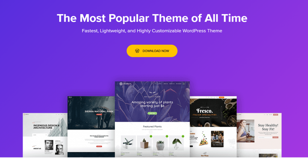 top_5_wordpress_themes_astra