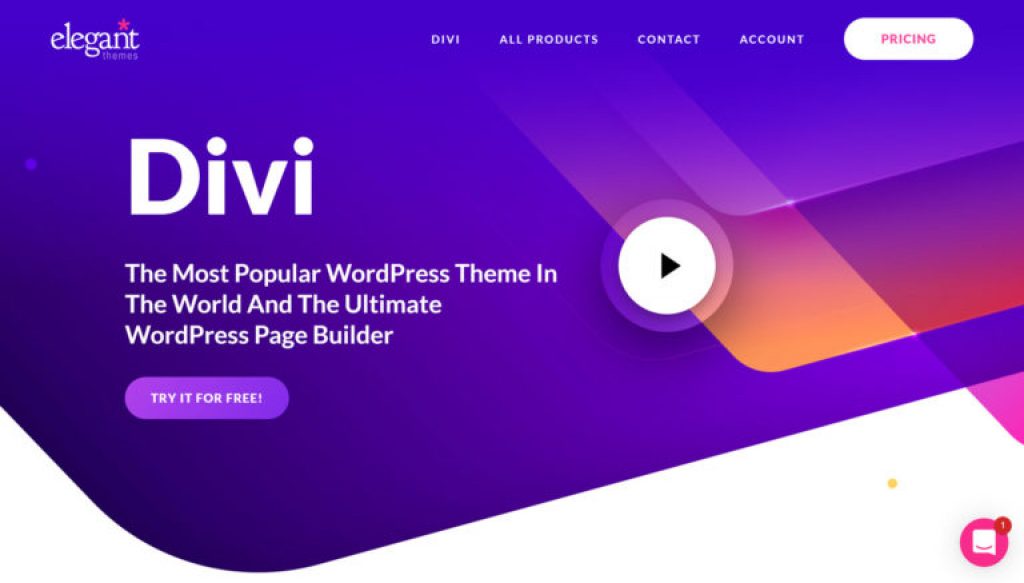 top_5_wordpress_themes__divi