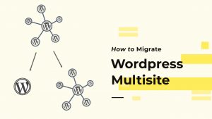 how to migrate wordpress multisite