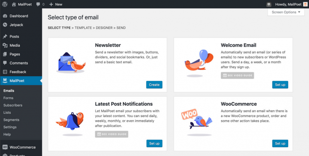 mailpoet dashboard