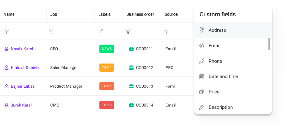 custom fields