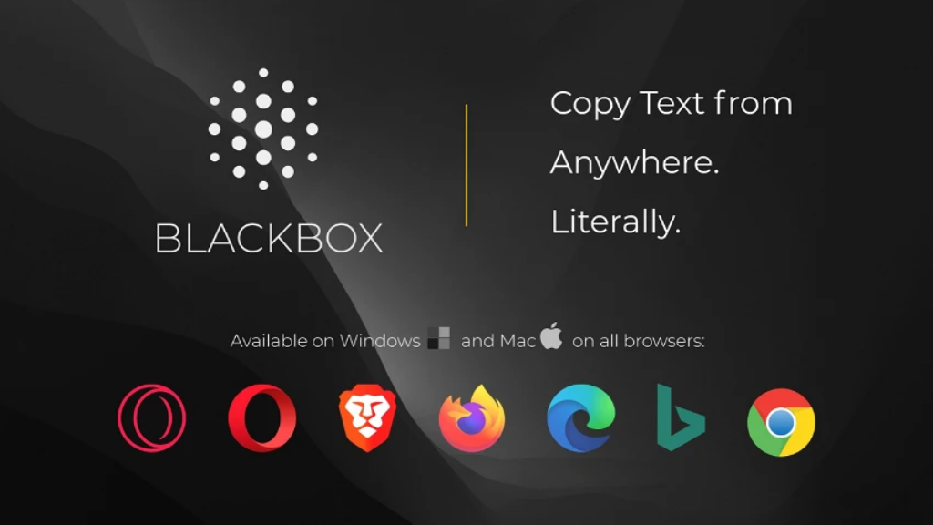 blackbox.ai