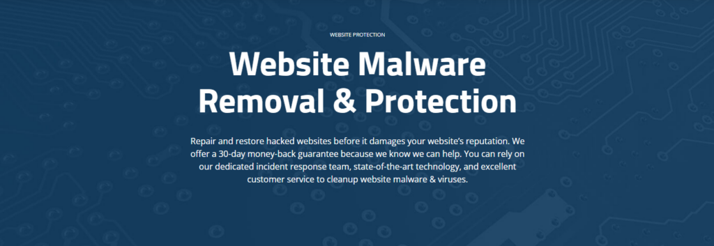 malware removal and protection